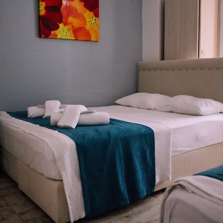 酒店 特妮丝酒店 3*